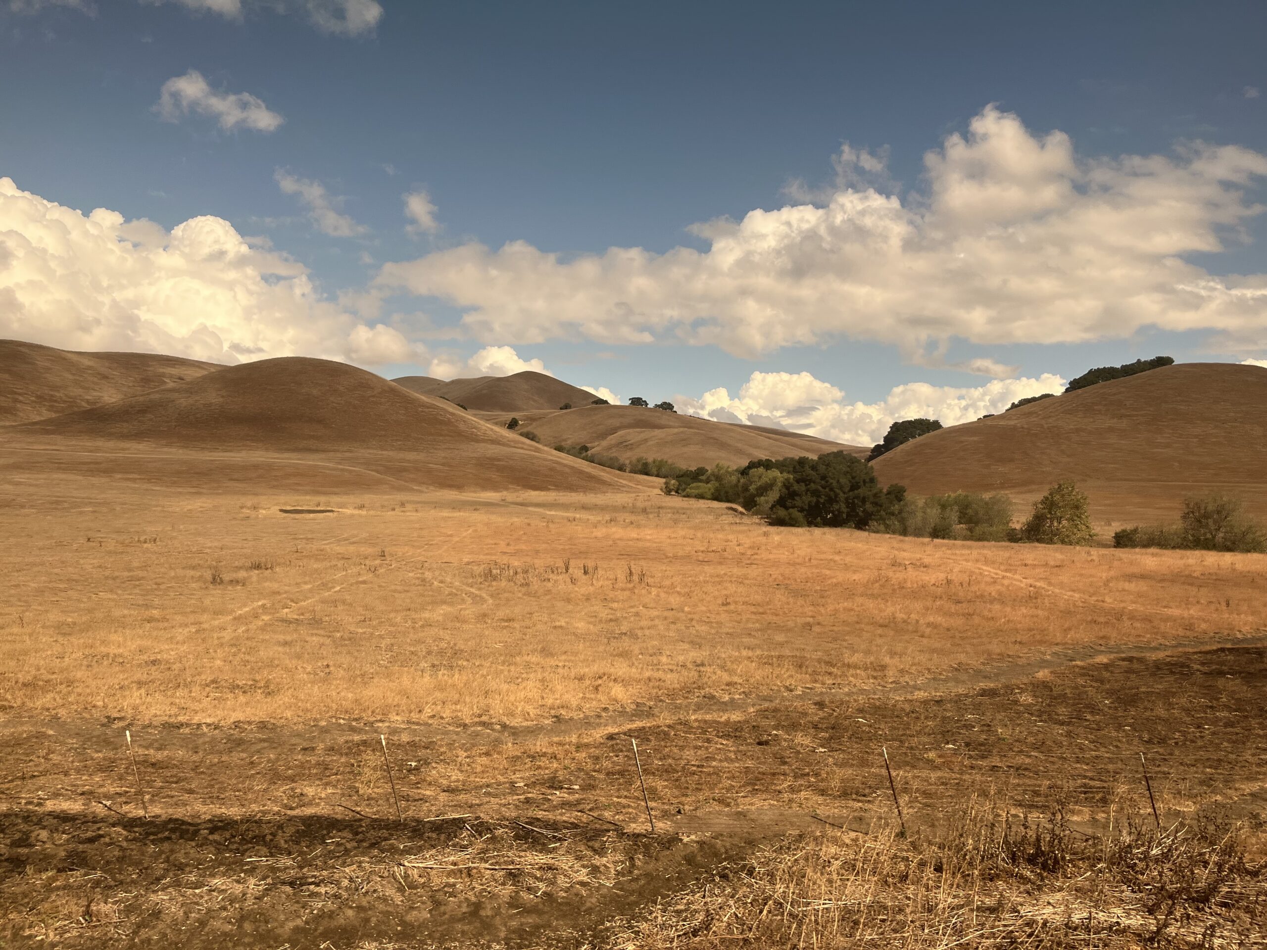 Amtrak Coast Starlight – San Francisco 🇺🇸 to Los Angeles 🇺🇸 by train – the most scenic route in the US?