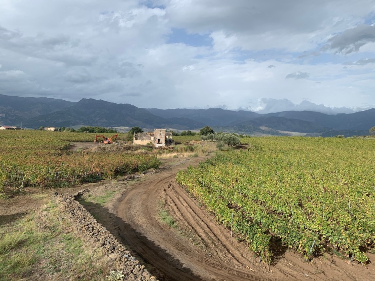 A small farm building surrounded by fields as can be seen from the train from Randazzo to Riposto