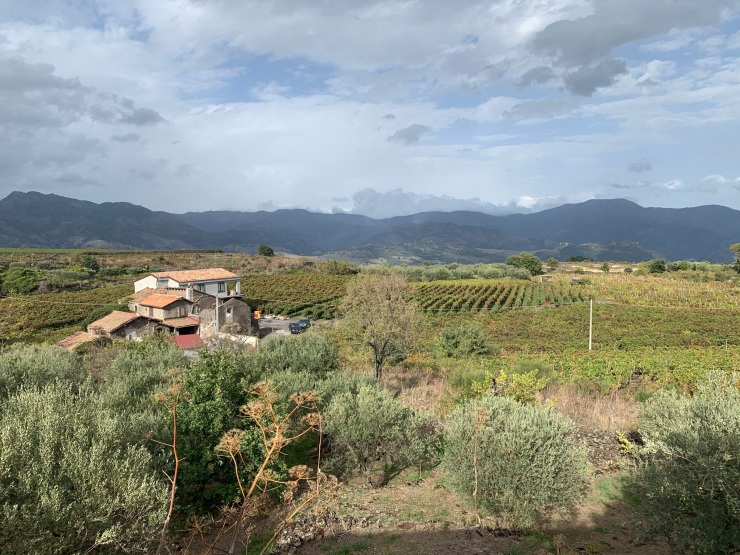 Green fields and terracotta houses as can be seen from the train with a mountain backdrop. A small farm building surrounded by fields as can be seen from the train from Randazzo to Riposto