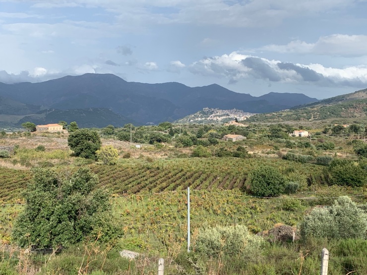 Farm buildings surrounded by fields as can be seen from the train from Randazzo to Riposto